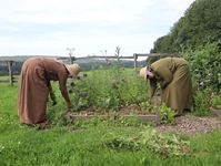 Das erste Beet ist schön verkrautet